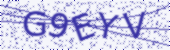 Security code image